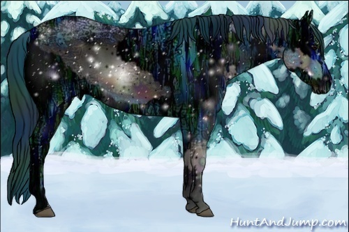 Horse Color:ERROR: UNKNOWN ANOMALY and ERROR: UNKNOWN ANOMALY