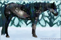 Horse Color:ERROR: UNKNOWN ANOMALY and ERROR: UNKNOWN ANOMALY