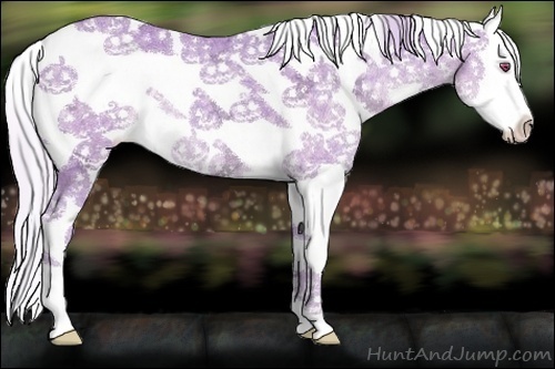 Horse Color:Watercolor Silver Classic Champagne Chinchilla Ice Sabino 