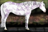 Horse Color:Watercolor Silver Classic Champagne Chinchilla Ice Sabino