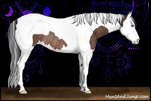 Horse Color:Bay Splash Tobiano Rabicano 