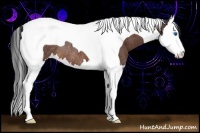 Horse Color:Bay Splash Tobiano Rabicano
