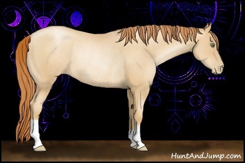 Horse Color:Classic Champagne Pearl Rabicano 