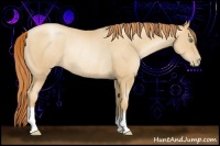 Horse Color:Classic Champagne Pearl Rabicano