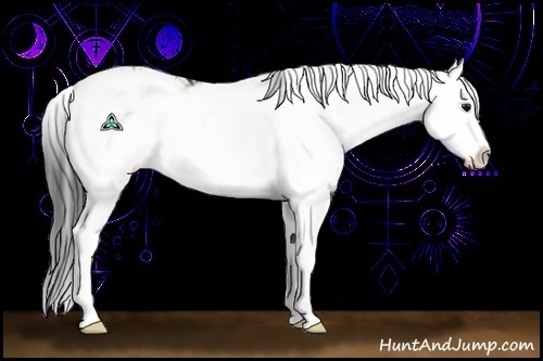 Horse Color:Brown Dun Sabino Splash Rabicano 