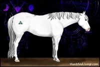 Horse Color:Brown Dun Sabino Splash Rabicano