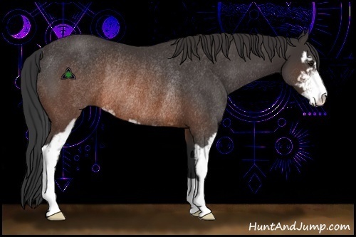 Horse Color:Brown Sabino Rabicano 