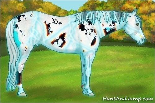 Horse Color:Thunderstruck White Spotted Chocolate Palomino Pearl Onyx Sabino Rabicano