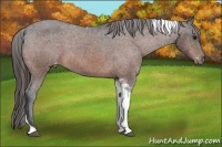 Horse Color:Brown Tobiano Varnish 