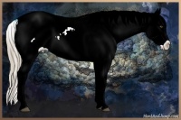 Horse Color:Liver Red Ice Roan Pearl Frame Snowflake Varnish
