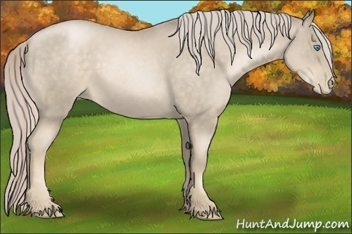 Horse Color:Chocolate Palomino Roan Pearl 