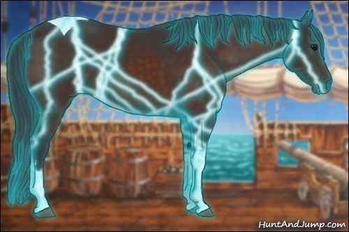 Horse Color:Thunderstruck Bay Sabino Tobiano