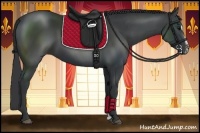 Horse Color:Black Sabino 