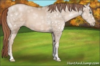 Horse Color:Smoky Black Ice Pearl 