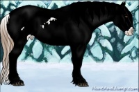 Horse Color:Liver Chestnut Ice Pearl Appaloosa 