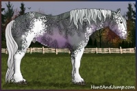 Horse Color:Watercolor White Spotted Silver Brown Ice
