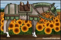 Horse Color:Silver Blue Roan 