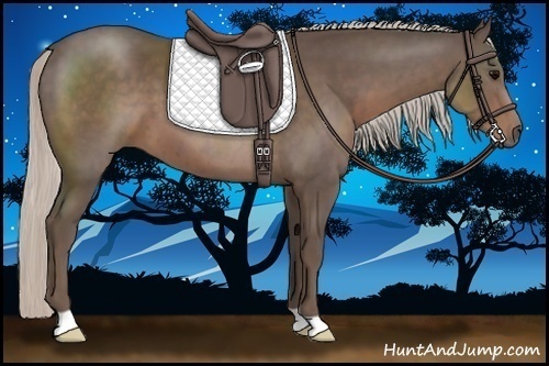 Horse Color:Silver Black 