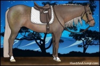 Horse Color:Silver Black 