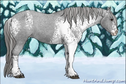Horse Color:White Spotted Black Varnish 