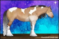 Horse Color:Bay Dun Sabino Tobiano