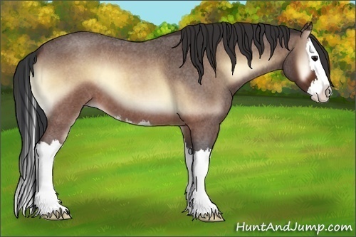 Horse Color:Brown Roan Onyx Splash 