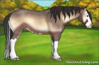 Horse Color:Brown Roan Onyx Splash