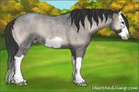 Horse Color:Blue Onyx Roan Splash Frame 