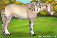 Horse Color:Palomino Roan Onyx