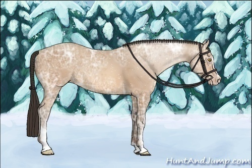 Horse Color:Amber Champagne Ice Sabino 