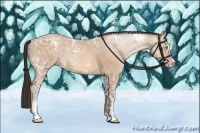 Horse Color:Amber Champagne Ice Sabino
