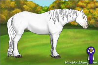 Horse Color:Gray Silver Black Pearl Sabino Tobiano Rabicano 