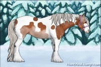 Horse Color:Silver Bay Sabino Tobiano 