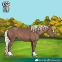 Horse Color:Silver Black 
