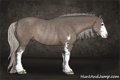 Horse Color:Silver Black Sabino Rabicano 