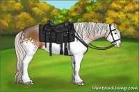 Horse Color:White Spotted Silver Bay Sabino