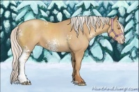 Horse Color:White Spotted Silver Classic Champagne Sabino