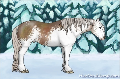 Horse Color:White Spotted Silver Black Sabino Rabicano