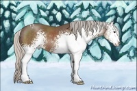 Horse Color:White Spotted Silver Black Sabino Rabicano