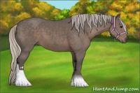 Horse Color:Silver Black Sabino 