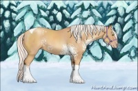 Horse Color:White Spotted Silver Classic Champagne Tobiano 