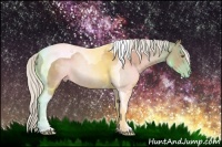 Horse Color:Silver Black Pearl Tobiano 