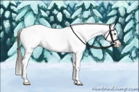 Horse Color:Liver Chestnut Near Leopard 