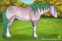 Horse Color:Watercolor Amber Champagne Onyx Sabino Frame 