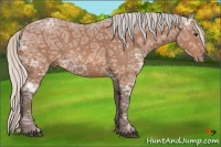 Horse Color:Silver Bay Ice 