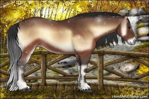 Horse Color:Brown Onyx Sabino