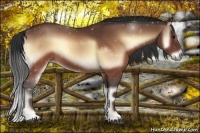 Horse Color:Brown Onyx Sabino