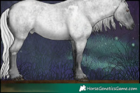 Horse Color:White Spotted Silver Blue Chinchilla Roan Rabicano 