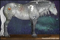 Horse Color:White Spotted Silver Blue Chinchilla Roan Rabicano