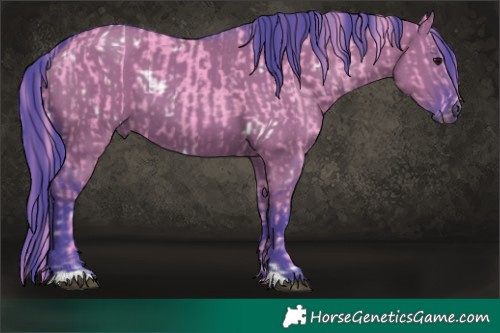 Horse Color:Watercolor White Spotted Black  and Watercolor Grullo 